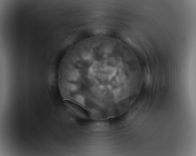 X0000093240619200710101423