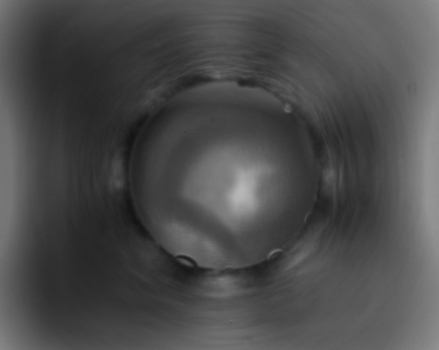 X0000093240620200710101423