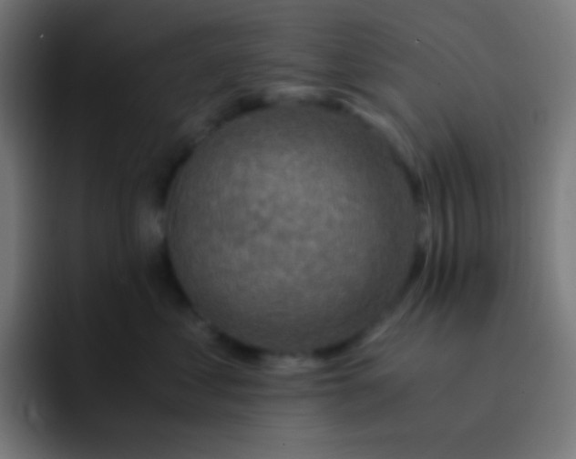 X0000093240621200710101423
