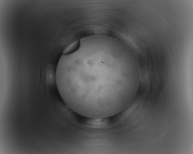 X0000093240622200710101423