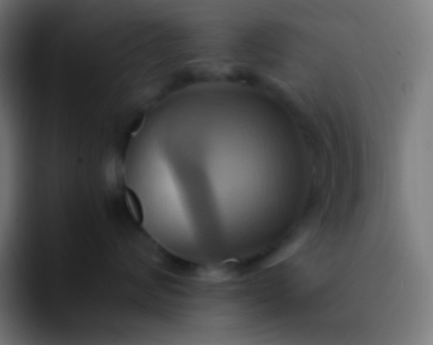 X0000093240624200710101423