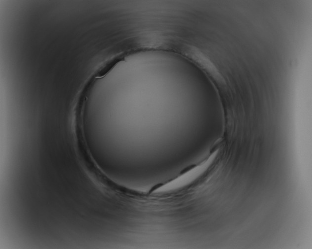 X0000093240626200710101422