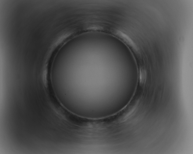 X0000093240627200710101422