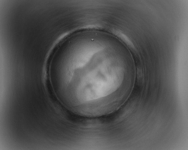 X0000093240628200710101422