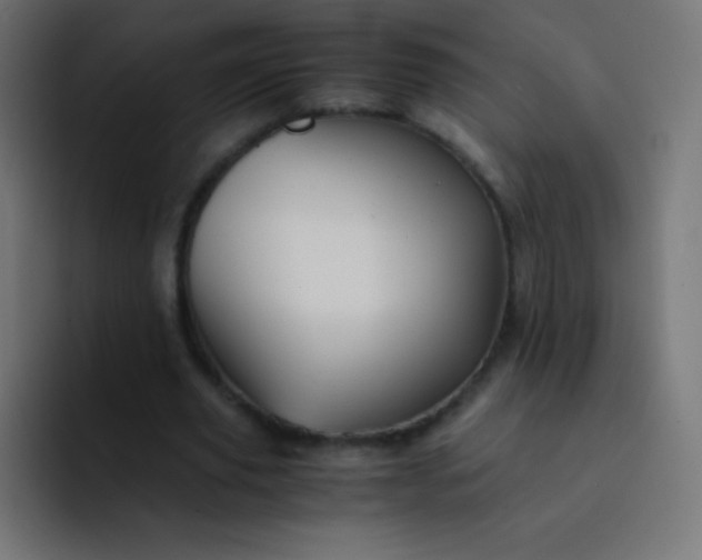 X0000093240629200710101422