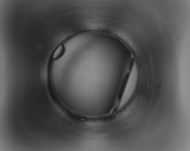 X0000093240630200710101422