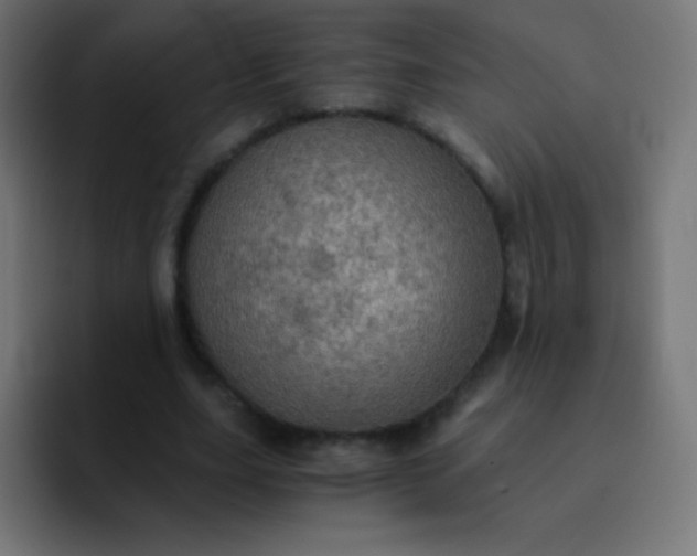 X0000093240631200710101422