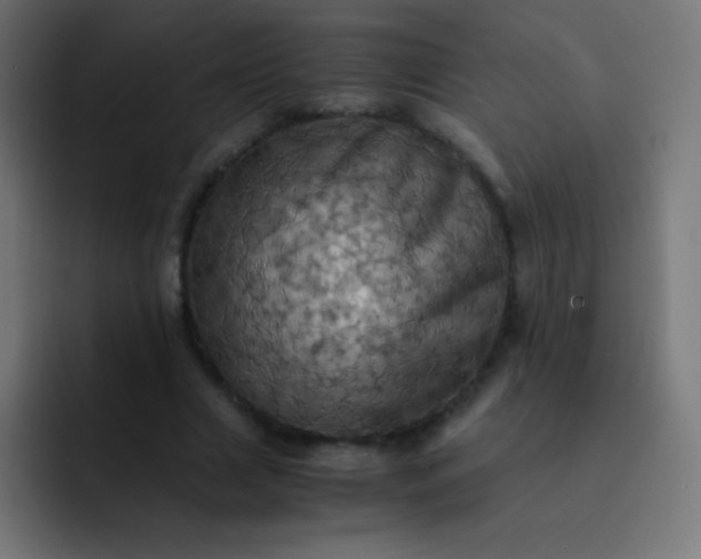 X0000093240633200710101422