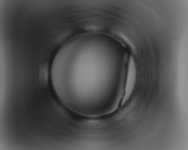 X0000093240637200710101422