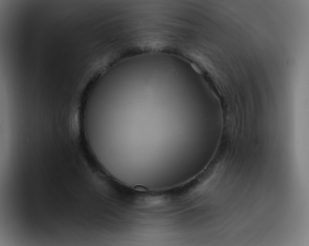 X0000093240638200710101422