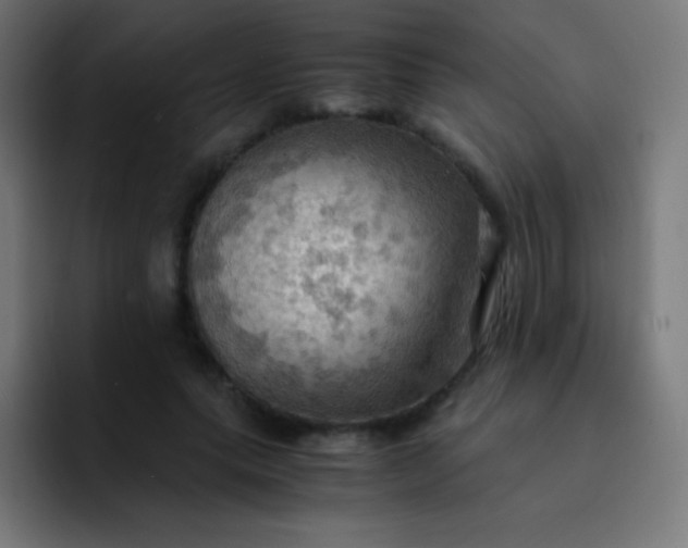 X0000093240639200710101422