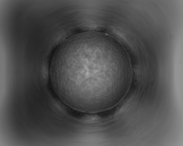 X0000093240642200710101422