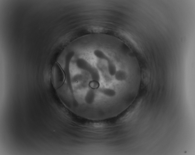 X0000093240645200710101422