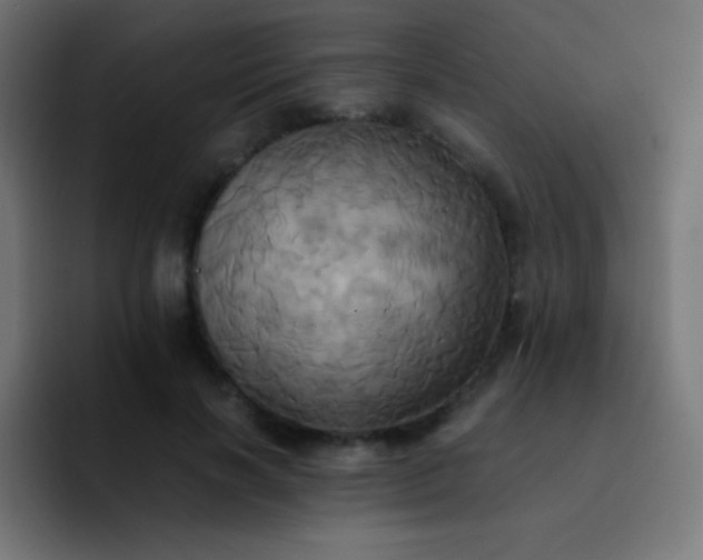 X0000093240646200710101422