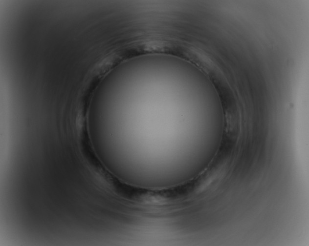 X0000093240648200710101422