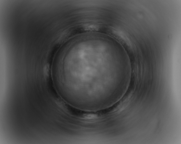 X0000093240649200710101422