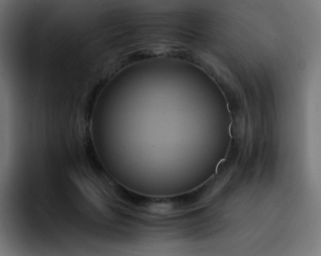 X0000093240653200710101422