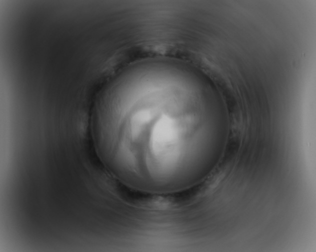 X0000093240656200710101423
