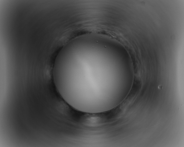 X0000093240658200710101423