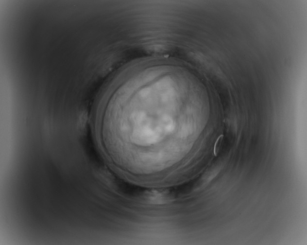 X0000093240660200710101423