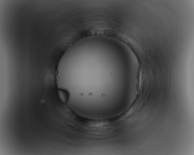 X0000093240661200710101423