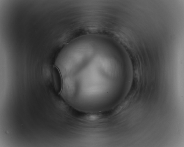 X0000093240662200710101423