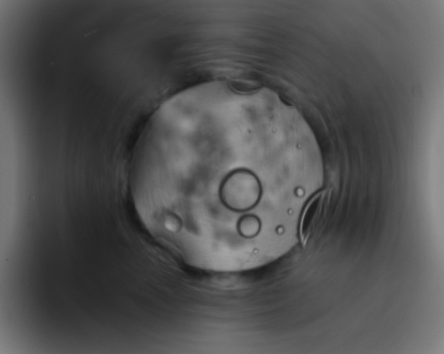 X0000093240666200710101423