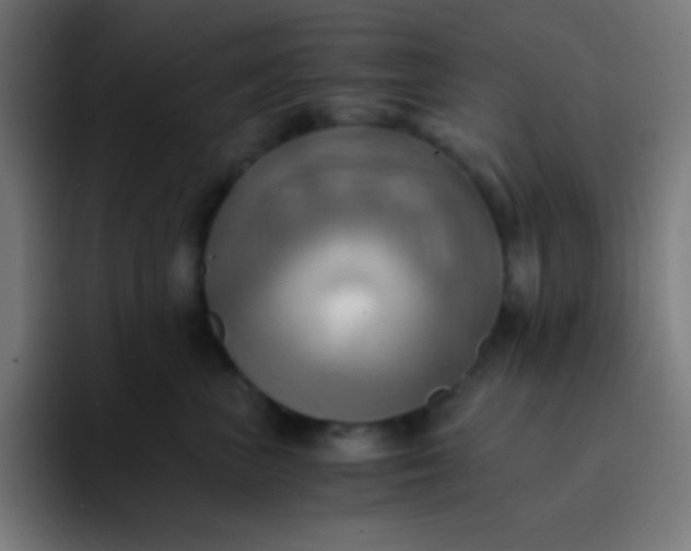 X0000093240667200710101423