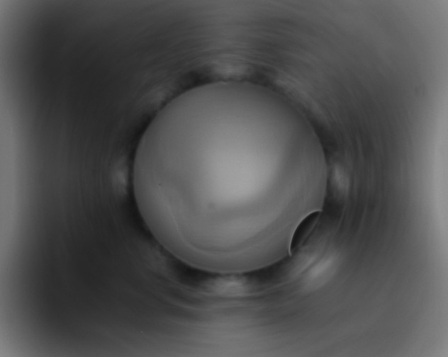 X0000093240668200710101423