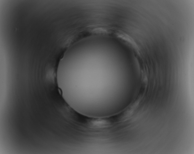 X0000093240669200710101423