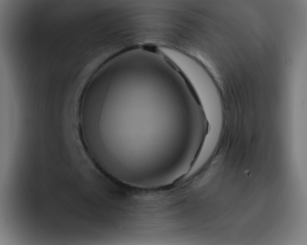 X0000093240673200710101422