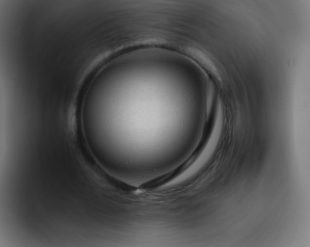 X0000093240676200710101422