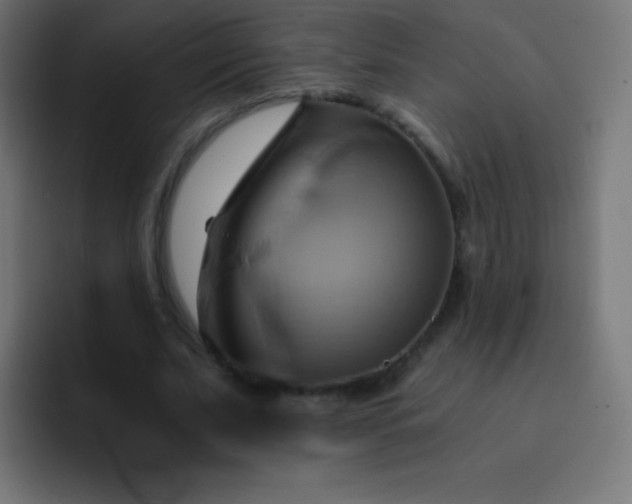 X0000093240679200710101422