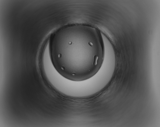 X0000093240680200710101422