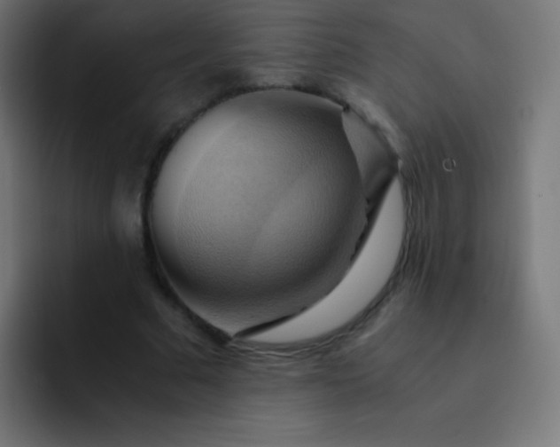 X0000093240681200710101422