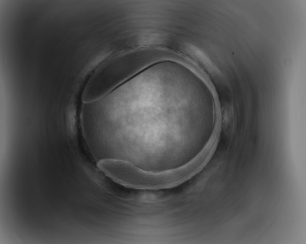 X0000093240684200710101422
