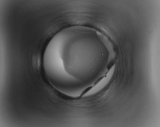 X0000093240685200710101422