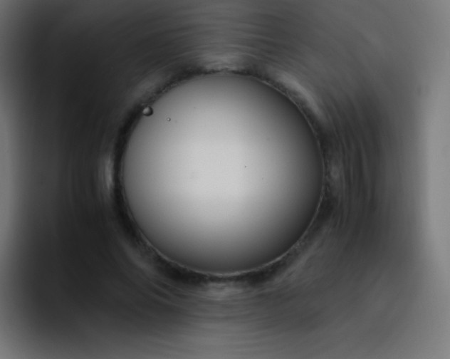 X0000093240686200710101422