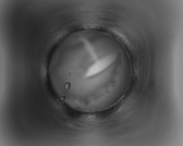 X0000093240687200710101422