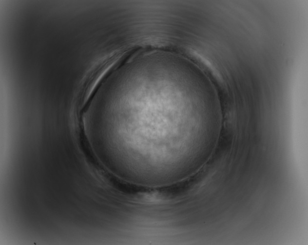 X0000093240688200710101422