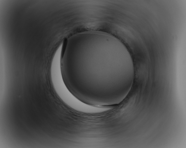 X0000093240689200710101422