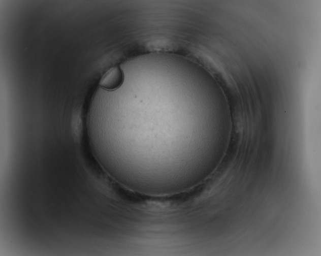 X0000093240690200710101422