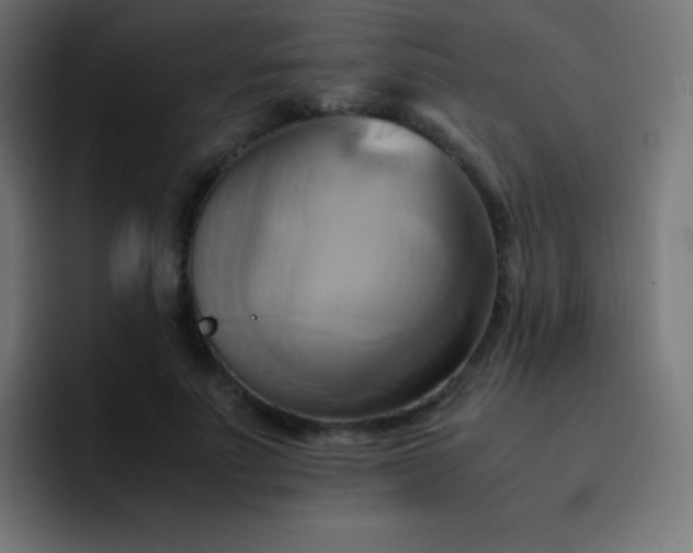 X0000093240691200710101422