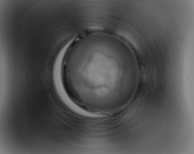 X0000093240692200710101422