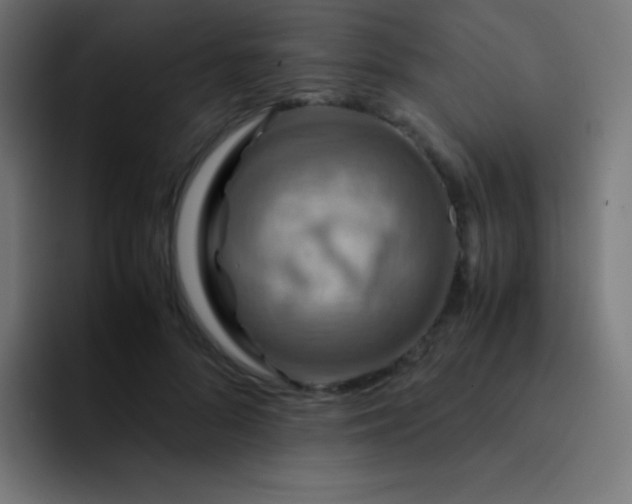 X0000093240696200710101422