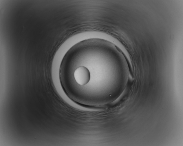 X0000093240697200710101422