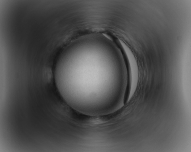 X0000093240704200710101422