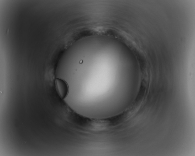X0000093240707200710101422
