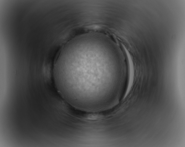 X0000093240708200710101422