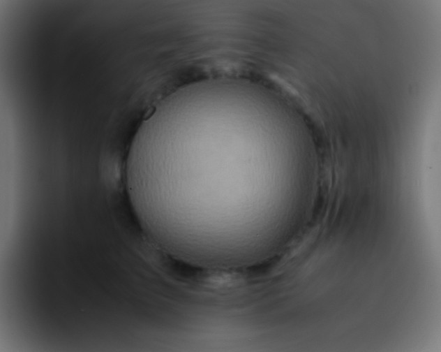 X0000093240709200710101422